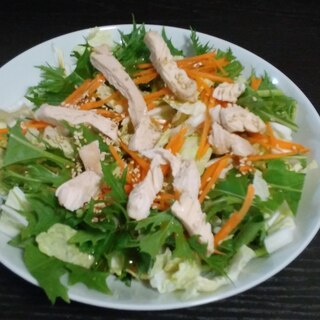 鶏と水菜のサラダ